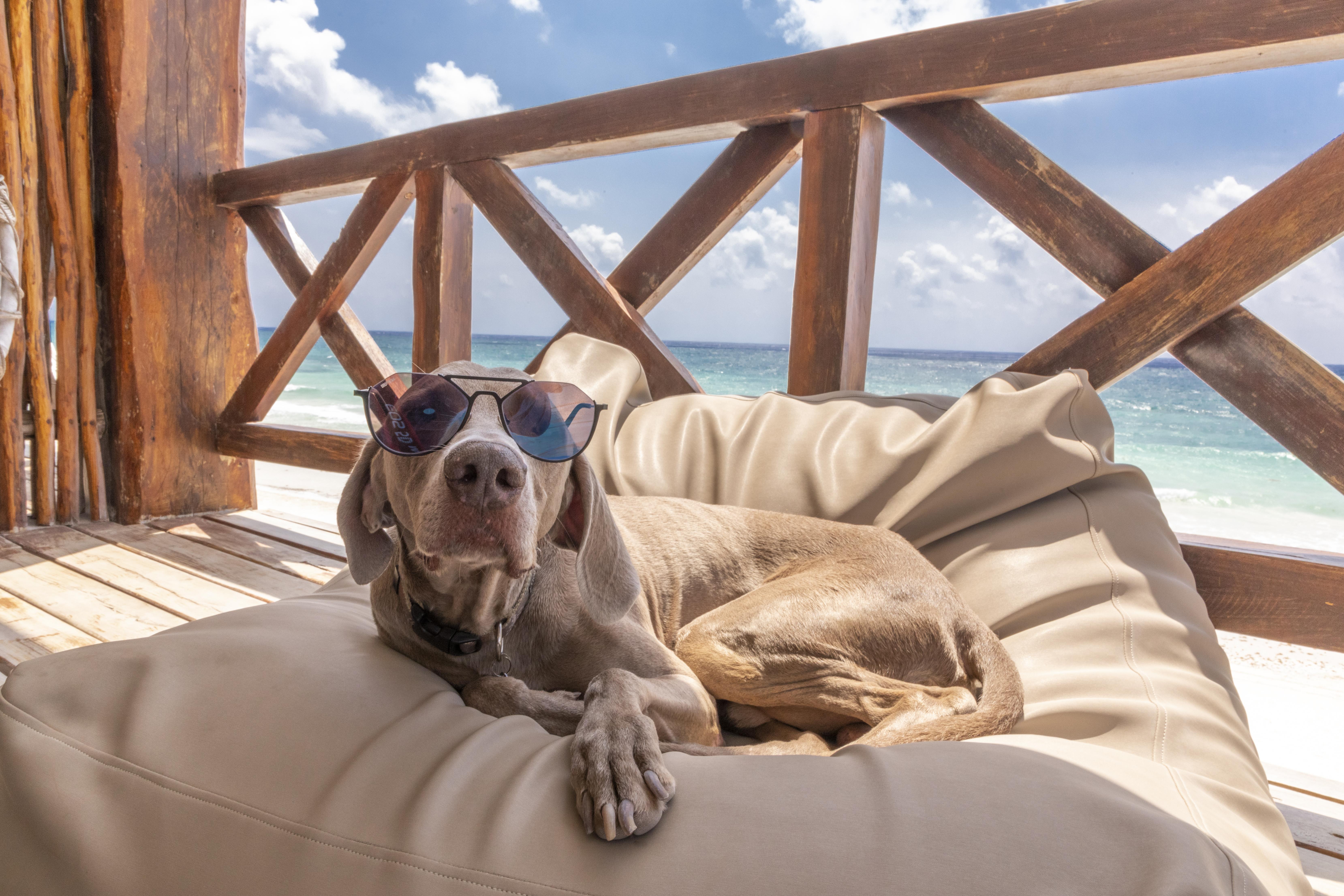Hotelito Azul Τουλούμ Εξωτερικό φωτογραφία